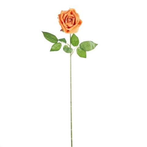 ROSA ELEONORE YELLOW 75CM